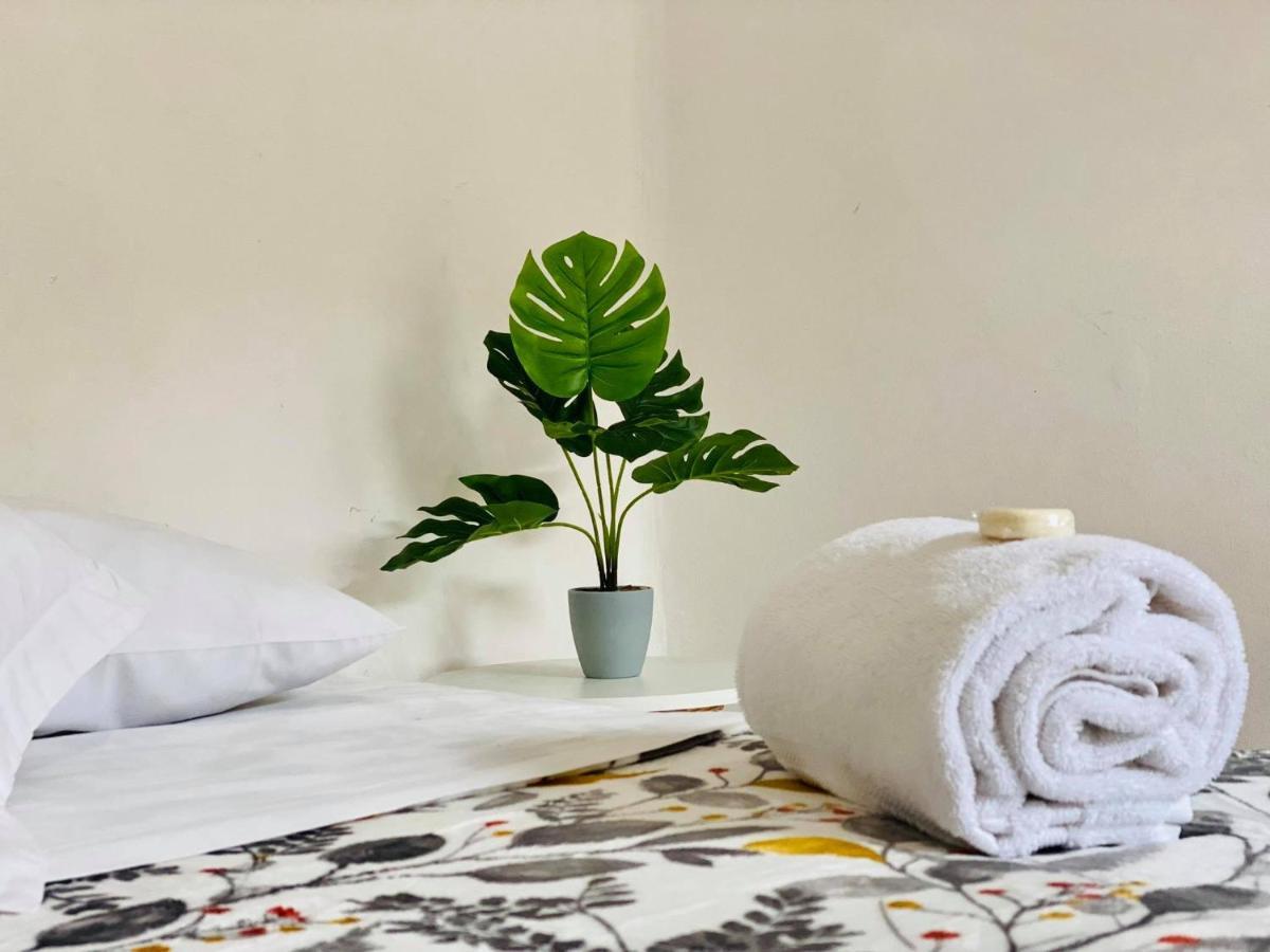 Casa Del Centro Bed & Breakfast Морелия Екстериор снимка